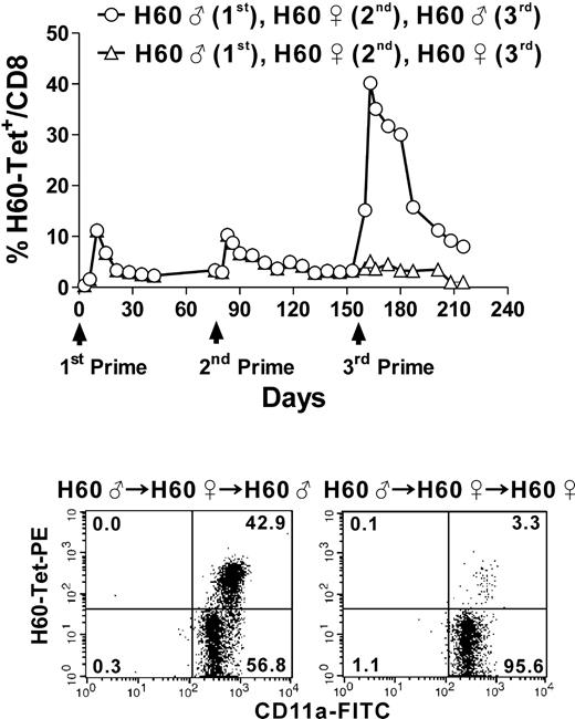 Figure 4. Providing CD4 help again to memory CD8 T cells that had not undergone an appropriate secondary response restored memory cell expansion during the tertiary response. Mice that had not been provided with CD4 help during the secondary response were immunized with male or female H60 cells as a tertiary challenge. The percentage of H60-tetramer+ CD11a+ CD8 T cells was plotted after periodic staining of PBLs from the immunized mice (3 mice per group). Representative FACs data from 3 independent experiments (gated for CD8+ cells) are shown.