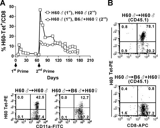 Figure 5. Separate and cognate help lead to qualitatively and quantitatively different H60-specific memory CD8 T-cell responses. (A) B6 mice that had been immunized with male H60 cells were boosted with male H60 cells or a mixture of male B6 and female H60 cells. PBLs from the immunized mice (5 mice per group) were stained periodically with H60-tetramer-PE, anti–CD8-APC, and anti–CD11a-FITC, and the percentage of H60-tetramer+ CD11a+ CD8 T cells was plotted. The FACs results from day 7 postsecondary immunization are shown (gated for CD8+ cells). The data are taken from 1 of 5 independent experiments. (B) Female B6 mice were adoptively transferred with CD8 T cells purified from female Ly5.1 (CD45.1+) mice that had been immunized with male H60 cells 40 days earlier and then challenged with male H60 cells or a mixture of male B6 and female H60 cells. PBLs from the challenged adoptive hosts were stained with H60-tetramer-PE, anti–CD8-APC, and anti–CD45.1-FITC and flow cytometric analysis was performed after gating for the CD45.1+ cells. The data are representative of 2 independent experiments.