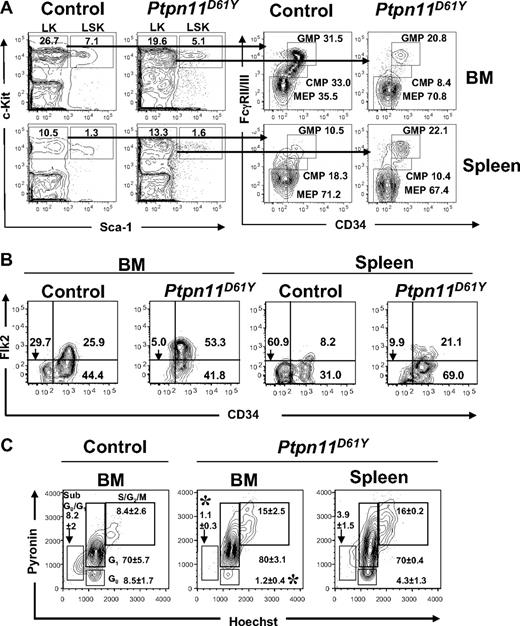 Figure 3. Abnormal distribution of phenotypic HSCs and myeloid precursors in the bone marrow and spleen of diseased Ptpn11D61Y mice. (A,B) Flow cytometric analysis of BM and splenic (A) LK subsets, including CMPs (LK-CD34+FcγRII/IIIlo), GMPs (LK-CD34+FcγRII/III+), and MEPs (LK-CD34−FcγRII/III−) and (B) LSK subsets, LT-HSCs (LSK-Flk2−CD34−), ST-HSCs (LSK-Flk2−CD34+), and MPPs (LSK-Flk2+CD34+). Representative contour plots are shown. All values are the mean frequency of the parental gate. See Tables 1 and 2 for absolute numbers of each population. (C) LSK cells from BM or spleen of control and Ptpn11D61Y mice were purified by FACS and stained with Hoechst 33342 (H), and Pyronin Y (PY). The mean percentages of cells in G0 (H−PY−), sub-G0G1 (H−PYlo), G1 (H−PY+), and S/G2M (H+PY+) are indicated. Representative contour plots are shown (n = 3; *P < .05).