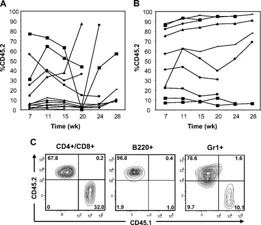 Figure 4. Adoptive transfer of BM cells and spleen cells from Ptpn11D61Y mice with MPD. (A) BM cells (2 × 106) or (B) spleen cells (5 × 106) from Ptpn11D61Y (CD45.2) mice were transferred together with 105 CD45.1 WT BM cells into lethally irradiated CD45.1 recipients. The percentage of peripheral blood cells expressing CD45.2 was quantified by flow cytometry at the indicated times. (C) Representative spleen cells from a recipient 24 weeks after transplantation, showing the presence of donor-derived B220+, CD3+/CD4+/CD8+, and Gr1+ cells.