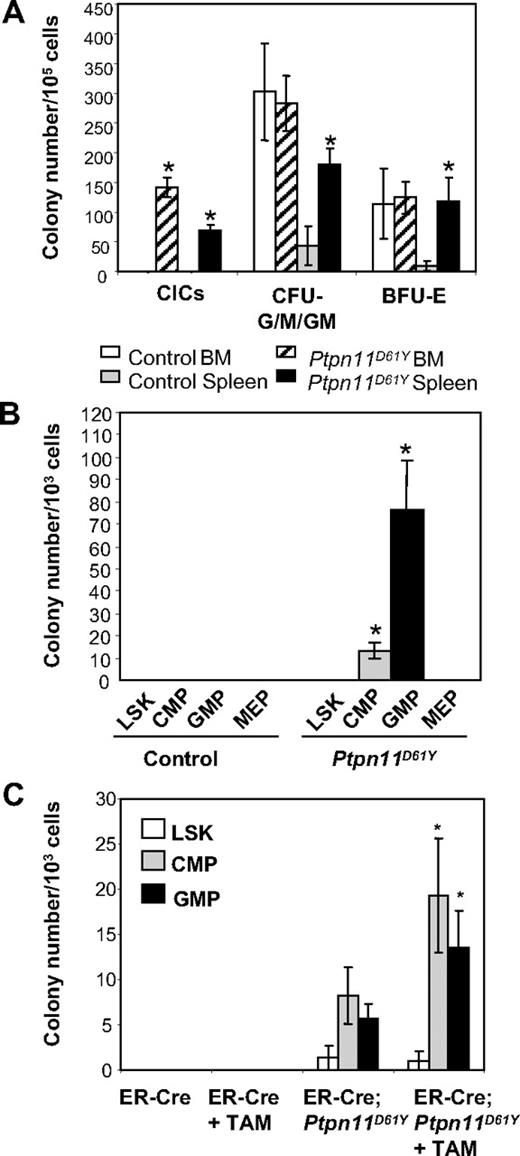 Figure 5. Committed progenitors from Ptpn11D61Y mice evoke CICs. (A) Ptpn11D61Y and control BM and spleen cells were plated in methylcellulose media in the presence or absence of cytokines. (B) LSK cells, CMPs, GMPs, and MEPs from Ptpn11D61Y and control mice were purified by FACS and plated in methylcellulose media in the absence of cytokines. (C) LSK cells, CMPs, and GMPs from ER-Cre and ER-Cre;Ptpn11D61Y mice were purified and cultured for 16 hours in media containing SCF, LIF, IL-6, sIL-6R (for LSK), and SCF and IL-11 (for CMPs and GMPs) in the presence or the absence of Tam. Live cells were replated on methylcellulose medium in the absence of cytokine. For all experiments, colonies were counted after 7 to 9 days.
