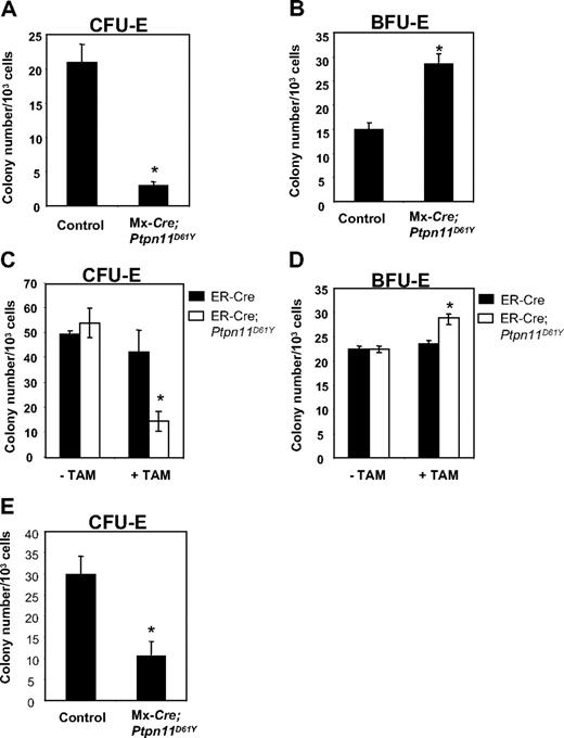 Figure 6. Ptpn11D61Y erythroid progenitors show enhanced BFU-E and reduced CFU-E activity. MEPs from control and Ptpn11D61Y (A,B) or ER-Cre;Ptpn11D61Y mice (C,D) were cultured for 2 days in EPO-containing methylcellulose media for CFU-E colonies (A,C) or for 8 days in medium containing SCF, IL-3, IL-6, and EPO for BFU-E colonies (B,D). (E) EPs from control and Ptpn11D61Y mice were plated on methylcellulose media in the presence of 0.5 U/mL EPO for 2 days before they were numerated.
