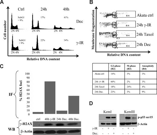 Figure 2. Decitabine-induced aneuploidy and cell death is preceded by a DNA damage-induced transient G2 block. (A) Cell-cycle distribution of Akata cells 24 and 48 hours after 10 Gy of γ-IR or start of culture in the presence of 2 μM decitabine (Dec). The amount of cells with a less than diploid DNA content was regarded as apoptotic (ie, sub-G1, only number shown). (B) Decitabine and γ-IR treatment transiently arrests Akata cells in the G2 phase. To distinguish between the G2 and M phase of the cell cycle, loss of granularity due to nuclear envelope breakdown in mitosis was used during FACS analyses. To be able to set the M-phase gate correctly, Akata cells were treated with 1 μg/mL Taxol, which resulted in an accumulation of cells in gate R3. The remaining cells with the same DNA content but with higher granularity were collected in gate R2, depicted as the G2-phase. Quantifications of the cell-cycle distribution are shown in the table. (C) Decitabine treatment induces a DNA damage response (DDR). Akata cells were treated with either 5 μM decitabine or 10 Gy of γ-IR and analyzed for the presence of phosphorylated H2AX (γ-H2AX) in foci by immunofluorescence. The graph shows quantification of the percentage of cells with a signal that exceeds that of an arbitrarily chosen background staining. The results are based on quantifications of at least 100 cells counted from at least 3 different slides. A representative staining of a cell subjected to DNA damage is shown in Figure S4C. The bottom panel shows a Western blot analysis of lysates from cells treated with decitabine or γ-IR. The loading order is the same as the label on the graph. (D) Decitabine treatment leads to phosphorylation of p53 on serine 15. KemI and KemIII cells were treated with either decitabine or γ-IR and analyzed for phosphorylation of p53 serine 15. Both mutant (KemI) and wild-type (KemIII) p53 showed serine 15 phosphorylation, which is indicative of a DNA damage response.