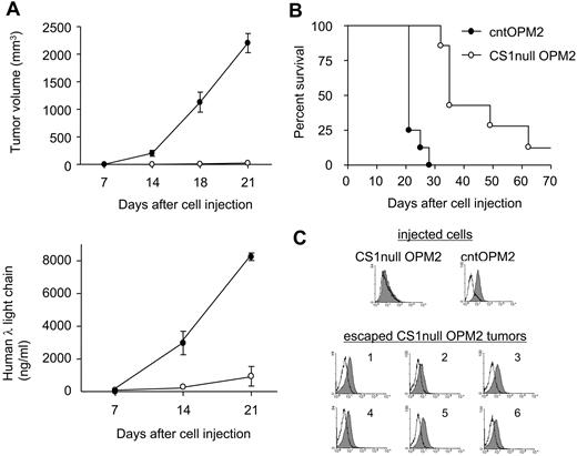 Figure 3. CS1 knockdown blocks in vivo tumor formation. (A) Mice (n = 8 per group) received pools of CS1null OPM2 cells or control OPM2 cells. Tumor development (top panel) and human λ light chain (ng/mL) in blood (bottom panel) were compared (P < .01). ○ represents CS1null OPM2 cells; ●, cntOPM2 cells. (B) Survival was evaluated after cell inoculation until death (mice were killed when tumors reached 2 cm3 in volume). P < .01. (C) Flow cytometric analysis of injected cells and tumors in mice injected with CS1null OPM2 cells. Solid histogram represents CS1 expression; open histogram, isotype control.