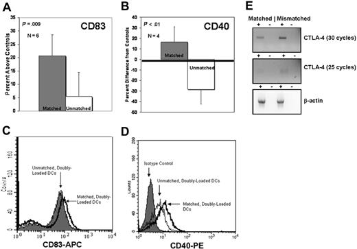 Figure 3. Differential regulation of CD83, CD40, and CTLA-4 is dependent upon the double-loading of DCs with matched class I and II antigens. (A) Percent difference of CD83 expression from average of unloaded and singly loaded controls between matched doubly loaded () and unmatched doubly loaded (□) DCs (P = .009). y-axis equals percent difference from average of unloaded and singly loaded controls. Compilation of 6 independent experiments. (B) Same as panel A but with CD40 staining rather than CD83 (P < .01). Compilation of 4 independent experiments. (C,D) Histograms demonstrating representative results for A (CD83) and B (CD40). (E) Semiquantitative RT-PCR demonstrates differential expression of CTLA-4 between DCs doubly loaded with matched antigens and DCs doubly loaded with mismatched antigens. Matched equals DC loaded with matched class I and II antigens. Mismatched equals DC loaded with mismatched class I and II antigens. +/−, +/− reverse transcriptase.