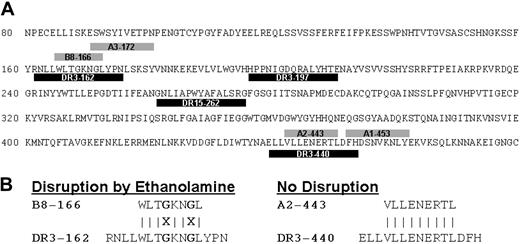 Figure 4. Aspects of the HA peptide model system. (A) Positioning of MHC class I and II peptides along the primary sequence of influenza HA antigen. (B) Representation of the class I/II overlapping peptide pair (B8-166/DR3-162), the sequence comparison of which is predicted to be disrupted by ethanolamine. The control class I/II overlapping peptide pair (A2-443/DR3-440) is predicted to be unaffected by the presence of ethanolamine.
