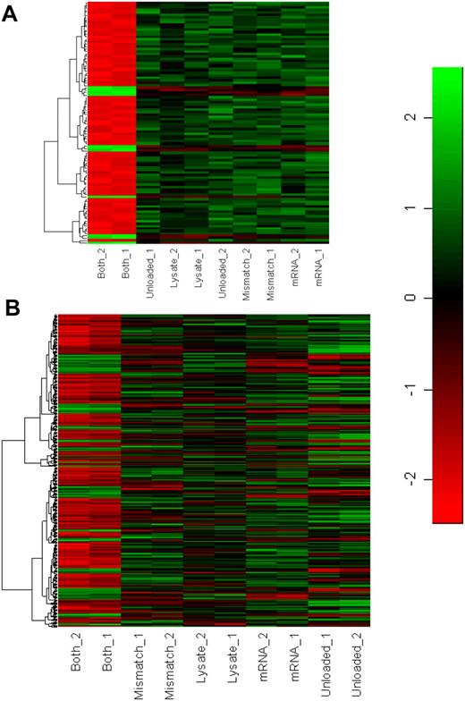 Figure 6. Gene expression signatures of DCs as a function of loading methodology. (A) Signatures of the top 100 most differentially expressed genes. Duplicate results shown. Unloaded, unloaded DCs; mRNA, DC loaded by mRNA electroporation; lysate, DC loaded by incubation with cell lysates; mismatch, DC doubly loaded with mRNA/lysate preparations derived from disparate cell types; both, DC doubly loaded with mRNA/lysate preparations derived from same cell type. (B) Signatures of all 1750 differentially regulated genes.