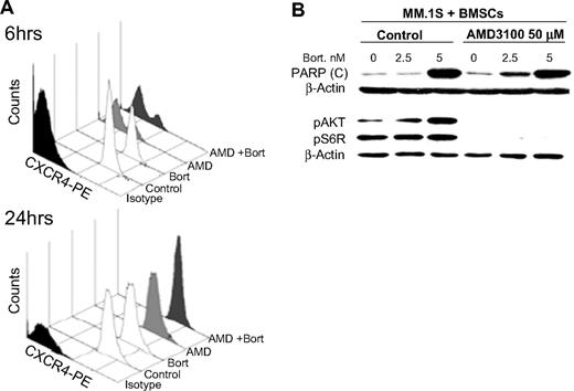 Figure 3. The effect of AMD3100 on PARP cleavage and phosphorylation of Akt in MM cells cocultured with BMSCs. (A) MM.1S cells treated with AMD3100 (50 μM), bortezomib (5 nM), or their combination for 6 or 24 hours and expression of CXCR4 compared with nontreated cells were tested by flow cytometry. AMD3100 inhibited CXCR4 expression at 6 hours, but the expression recovered at 24 hours, whereas bortezomib had no effect on CXCR4 expression at either 6 or 24 hours. (B) MM.1S cells were cultured with BMSCs and treated with AMD3100 (50 μM), bortezomib (0, 2.5, and 5 nM), or their combination overnight in PARP cleavage experiments or for 24 hours in pAkt and pS6R experiments. Immunoblotting with anti-PARP antibody showed that AMD3100 alone did not induce PARP cleavage in MM cells, but it increased the PARP cleavage induced by bortezomib especially at low doses. This shows that the increase of the apoptotic effect of bortezomib induced AMD3100. Moreover, immunoblotting for pAkt and pS6R showed that AMD3100 abolished the phosphorylation of Akt and S6R in MM cells in coculture with BMSCs, which was shown to be a resistance mechanism to bortezomib.