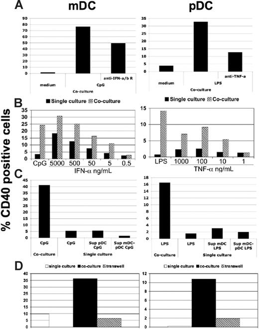 Figure 4. DC cross-talk depends on TNF-α, IFN-α, and cell contact. (A) The percentage of CD40+ pDCs and mDCs was determined after mDC/pDC coculture, as in Figure 1. The effects of LPS treatment with or without neutralizing anti-TNF-α mAbs (right panel) or CpG stimulation in the presence or absence of neutralizing anti-type I interferon receptor mAbs (left panel) were determined for pDCs and mDCs, respectively. (B) CD40 expression by pDCs treated with TNF-α (right panel) or mDCs treated with IFN-α (left panel) is compared for mDCs and pDCs cultured alone (■) or in coculture (). (C) pDCs were treated with supernatants from mDCs cultured alone or with pDCs after LPS stimulation, and CD40 expression was determined (right panel). Similarly, mDCs were treated with supernatants from pDCs alone or in coculture that was treated with CpG (left panel). (D) The percentage of CD40+ pDCs (right panel) and mDCs (left panel) after culture in isolation without stimulation (□) and stimulated together either in the same well (■) or separated by a semipermeable membrane (). As before, LPS (right panel) or CpG (left panel) was used as mDC- or pDC-selective stimuli. All experiments in this figure are representative of 3 performed.