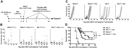 Figure 1. A combination of myeloablative therapy, HSCT, adoptive immunotherapy, and tumor vaccination was able to eliminate established mouse neuroblastoma. (A) Overall experimental design for these studies: tumors were established in A/J mice by subcutaneous injection of 105 AGN2A-Luc cells on day −8. On day −1, bioluminescent imaging was done to ensure that the mice had comparable tumor burden before treatment, and the mice were then treated with lethal TBI. On day 0, the mice received transplants of 107 syngeneic BM cells supplemented with 6 × 106 T cells. Adoptively transferred T cells were either derived from naive donor mice (Naive T) or derived from mice prevaccinated with the AGN2a-4P vaccine (Sen T). On days 2, 7, and 14 after HSCT, some mice were treated with the irradiated AGN2a-4P vaccine (Vac). For analysis, mice were grouped according to the therapy received as Naive T, Naive T + Vac, Sen T, Sen T + Vac. Tumor burdens were monitored by (B) bioluminescent imaging, depicted as total photon flux, and (C) caliper measurements. (D) Kaplan-Meier survival curves. The data represent the combined results of 3 independent experiments (10-15 mice per group). Survival of mice that received naive T cells without vaccine was significantly different from all other treatment groups at P < .001. (*P < .05.) The Sen T and Sen T + Vac survival curves were not significantly different (P = .09). Statistics were computed using the log-rank test.