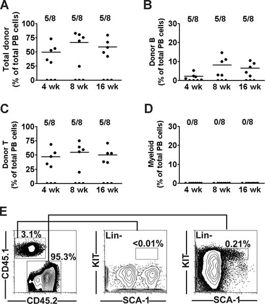 Figure 1. Long-term lymphoid but not myeloid or stem cell reconstitution in X-SCID mice BM transplanted during fetal development. Twenty-four fetal (E14.5) X-SCID (CD45.2) mice were transplanted with 5 × 105 whole BM cells from congenic (CD45.1) adult donors. Eight (33%) live born transplanted mice were analyzed for reconstitution at 4, 8, and 16 weeks after birth. Contribution of donor cells to (A) total nucleated cells, (B) B cells, (C) T cells, and (D) myeloid cells as percentage of total blood cells. Data points represent individual mice; horizontal bars represent mean values of positively engrafted mice (> 0.1% for each parameter). Results are from 2 independent experiments (E). FACS analysis of donor-derived LSK cells in BM of one representative animal at 16 weeks after birth. Left panel shows typical donor and host contribution to total BM cells. Middle and right panels show donor and recipient-derived LSK cells, respectively, gated as lineage negative, and investigated for expression of the HSC markers SCA-1 and KIT. Numbers represent percentages of total BM cells (0.01%; detection level).