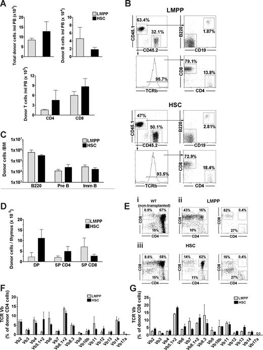 Figure 3. Long-term reconstitution of lymphoid progenitors and mature lymphocytes in unconditioned X-SCID mice after fetal transplantation of LMPPs and HSCs. (A-G) Fetal X-SCID mice transplanted with 200 LSK CD34+FLT3hi LMPPs () or 200 LSK CD34−FLT3− HSCs () were analyzed for donor-derived lymphoid progenitors and mature lymphocytes in PB, thymus, BM, and spleen 36 weeks after transplantation. (A) Mean (SEM) donor-derived contribution to total nucleated blood cells (top left panel), B cells (B220+C19+; top right panel), and T cells (CD4+ and CD8+; bottom panel) from 5 reconstituted mice. (B) FACS profiles of PB analysis from typical fetal X-SCID recipient transplanted with 200 LMPPs (top FACS plots) and 200 HSCs (bottom FACS plots). For each of the 2 populations, top panels show donor-derived CD45.1 (top left) B220+CD19+ B cells (top right). Bottom left panel shows frequency of TCR β+ T cells among total CD45.1+ cells, and bottom right panel shows distribution of TCR β+ cells into CD4+ and CD8+ blood cells. Gated numbers represent frequencies of total donor cells. (C) Mean (SEM) donor contribution to total B220 cells (B220+), pre B (B220+CD43−IgM−), and immature/mature B cells (B220+CD43−IgM+) in BM (per 2 femurs and 2 tibias) of 5 reconstituted mice. (D) Mean (SEM) donor contribution to DP, SP CD4, and SP CD8 cells in thymus from 5 mice, transplanted 36 weeks earlier. (E) Representative CD4 and CD8 FACS profiles of thymus (gated on CD45.1+ donor cells) in mice transplanted with LMPPs (ii) and HSCs (iii) 36 weeks earlier, showing variable reconstitution of CD4+CD8+ DP thymocytes, and compared with same profiles in WT control (nontransplanted) mouse (i). Percentages for LMPP and HSC transplanted mice are relative to total donor cells. (F,G) TCR V-beta rearrangement of (F) CD4+ and (G) CD8+ donor (CD45.1+) derived cells in spleen. Bar graphs represent mean (± SEM) percentage of cells (of 6 mice analyzed) expressing different V-β subtypes of total donor (F) CD4 and (G) CD8 cells. For all panels, all differences between LMPP and HSC transplanted mice were nonsignificant (P > .05).
