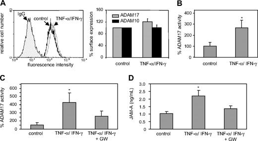 Figure 3. Up-regulation of ADAM10/17 activity by proinflammatory mediators. (A) HUVECs were stimulated with IFN-γ and TNF-α (each 10 ng/mL) or vehicle control (PBS) for 16 hours and analyzed for ADAM10 and ADAM17 surface expression by flow cytometry. Data are shown as representative histogram (left) or as mean plus or minus SD of the fluorescence signals determined for ADAM10 and ADAM17 determined in 3 independent experiments (right). Surface expression was expressed in relation to that determined for the PBS-treated control. (B) HUVECs were stimulated with IFN-γ and TNF-α (each 10 ng/mL) or vehicle control (PBS) for 16 hours, and analyzed for cell-associated ADAM10/17 activity using a fluorogenic peptide-based assay. The shedding activity (mean plus or minus SD) was determined in 3 independent experiments using a recombinant ADAM17 standard run in parallel and expressed in relation to that of the vehicle-treated control. (C,D) Isolated murine aortas were treated with vehicle control (PBS, n = 4) or IFN-γ and TNF-α (each 20 ng/mL) in the absence (n = 4) or presence (n = 3) of the combined ADAM10/17 inhibitor GW280264 (GW, 5 μM) for 16 hours. Subsequently, cell lysates were analyzed for ADAM10/17 activity (C), and conditioned media were assayed for release of JAM-A into the culture medium (D). *Significant increase compared with the vehicle-treated controls (P < .05).