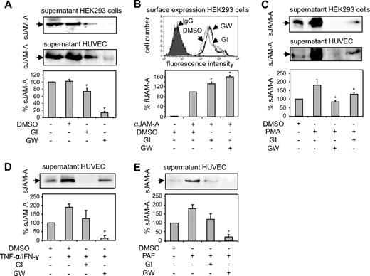 Figure 4. Inhibition of constitutive and inducible JAM-A shedding. (A) HEK293 cells and HUVECs were incubated with the preferential ADAM10 inhibitor GI254023X (GI, 5 μM), the combined ADAM10/17 inhibitor GW280264 (GW, 5 μM), or vehicle control (DMSO) for 16 hours. Conditioned media were analyzed by Western blotting using an anti–hJAM-A monoclonal antibody. (B) Surface expression of JAM-A on HEK293 cells treated with DMSO or inhibitor as described in panel A was analyzed by flow cytometry. (C) Cells were pretreated with the ADAM10 inhibitor GI254023X (5 μM) or ADAM10/17 inhibitor GW280264X (5 μM) or DMSO. Subsequently, cells were incubated in the presence or absence of PMA (200 ng/mL) for 2 hours. Supernatants were harvested, and soluble JAM-A was determined by Western blotting using an anti–hJAM-A monoclonal antibody. (D,E) Cells were stimulated with TNF-α/IFN-γ (10 ng/mL) or PAF (50 nM) or treated with vehicle control (DMSO) for 16 hours in the absence or presence of GI254023X or GW280264 (both 5 μM), and released JAM-A was determined by Western blotting. Quantified signals in panels A through E were normalized and shown as mean plus or minus SD for 3 independent experiments. *Statistically significant reduction in JAM-A surface expression caused by cell stimulation (P < .05).
