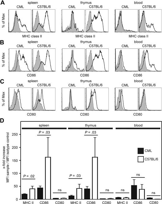 Figure 2. BCR/ABL-expressing DCs have a low maturation status in vivo. (A-C) Spleen, thymus, and blood of CML and naive C57BL/6 mice were isolated. The expression of MHC class II molecules (A), CD86 (B), and CD80 (C) on BCR/ABL-GFP-expressing CD11c+ DCs in CML mice and on CD11c+ DCs from naive C57BL/6 mice (open histograms) was compared with isotype control stainings (filled histograms). One representative FACS plot of 3 independent experiments is shown. (D) Fold increase of mean fluorescence intensity of stainings of CML mice compared with naive C57BL/6 mice. Pooled data from 3 independent experiments with a total of 7 CML mice and 3 C57BL/6 mice are shown; ns indicates not significant.