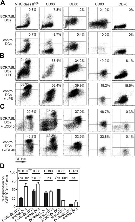Figure 4. In vitro–generated BCR/ABL-expressing DCs have a low maturation status. (A-D) DCs were generated in vitro from BCR/ABL-GFP or empty vector GFP–transduced H8 bone marrow cells. Immature (A), LPS-matured (B), and αCD40-maturated (C) BCR/ABL-expressing and control DCs were analyzed for MHC class IIhigh molecules, CD86, CD80, CD83, and CD70 expression by flow cytometry. Dot plots are gated on GFP-expressing cells. Numbers indicate the percentage of CD11c+ DCs expressing the stained molecule. (D) Summary of data in panel B of 3 independent experiments is shown as percentage (mean ± SEM) of MHC class IIhigh, CD86+, CD80+, CD83+, or CD70+ cells within total GFP+CD11c+ cells: (■) represents BCR/ABL-expressing DCs; (□), empty GFP vector–transduced control DCs, LPS-matured; ns indicates not significant.