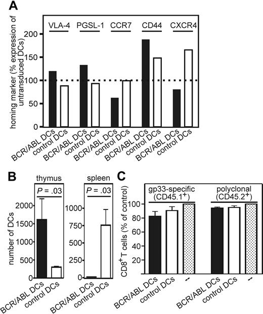 Figure 6. BCR/ABL-expressing DCs preferentially home to the thymus. (A,B) From H8 bone marrow in vitro–generated and LPS-matured BCR/ABL-expressing and control DCs (empty GFP vector–transduced) were analyzed for VLA-4, PSGL-1, CCR7, CD44, and CXCR4 expression by flow cytometry. (A) The expression of the homing markers on BCR/ABL-expressing (■) and control DCs (□, empty vector–transduced) is displayed as relative change compared with nontransduced DCs (100%). One representative experiment of 2 is shown. (B) CD45.1+ recipient mice were immunized with 4 × 106 BCR/ABL-expressing or control DCs. Eighteen hours later, the number of CD11c+CD45.1−GFP+ cells in the thymus and spleen was analyzed by flow cytometry. The number of BCR/ABL-expressing (■) or control DCs (□, empty GFP vector–transduced) in the thymus and spleen was analyzed by flow cytometry. (C) Bone marrow chimeric mice were immunized on day 20 and 21 after bone marrow transplantation with BCR/ABL-expressing (■) or control DCs (□) or nonimmunized (□ dotted). On day 23, thymi were analyzed for the frequency of gp33-specific CD8+ T cells (CD45.1+) and polyclonal CD8+ T cells (CD45.2+). Data are shown as frequency of CD8+ T cells of CD45.1+ lymphocytes or CD8+ T cells of CD45.2+ lymphocytes in mice immunized with BCR/ABL-expressing or control DCs relative to nontreated control mice. Results are mean plus or minus SEM of 3 samples per group.