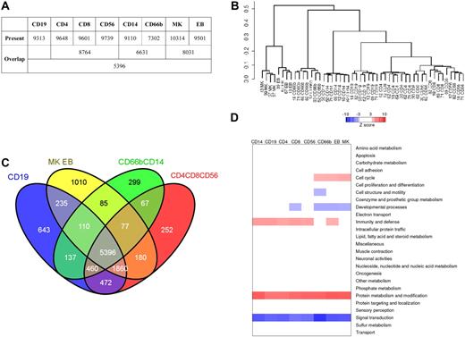 Figure 2. Characterization of blood cell transcriptomes and identification of differentially expressed transcripts. (A) Numbers of genes detected as present in different blood cells. (B) Clustering of samples based on genes with high precision in the dataset. (C) Overlap of present genes in human blood cells. (D) Patterns of enrichment (red) or depletion (blue) for different biologic processes of the PANTHER classification for the genes differentially expressed in different blood cell types. The color range represents Z-scores (from Z = 3 to Z = 10 for enrichment and Z = − 3 to Z = − 10 for depletion). Functional categories containing at least 20 genes were used in this analysis.