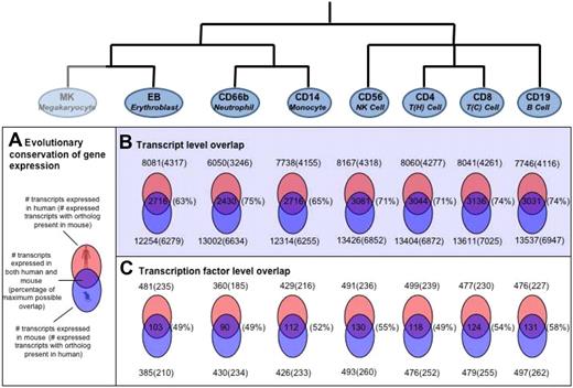 Figure 6. Evolutionary conservation of human versus mouse gene expression in various hematopoietic cell types. (A) Schematic representation of overlap in differential gene expression between human and mouse. The percentage of maximum possible overlap, shown in parentheses, is the percentage of orthologous proteins of the lower number (human or mouse) of DE genes. For the 7 cell types with data in both human and mouse, the extent of conservation of differential gene expression is shown at the level of (B) all transcripts and (C) transcription factors only. For those genes that were detected as expressed in human blood cells, mouse orthologs were identified as described. The presence of these orthologs in the mouse data was then investigated. Venn diagrams showing the number of overlapping genes with the number of orthologs identified shown in parentheses.