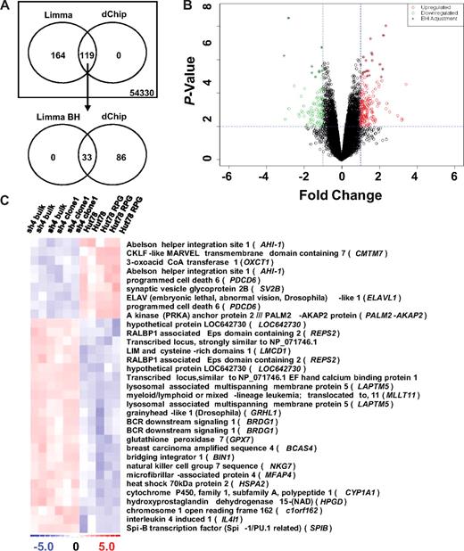 Figure 1. Differentially expressed genes in AHI-1–suppressed cells identified through microarray analysis. (A) Venn diagram of differentially expressed probes selected by both Limma and dChip analyses. The Affymetrix GeneChip Human Genome U133 Plus 2.0 Array screened 54 330 probe sets using the threshold values of a fold change of 2 or higher and 2 or lower and a P value of .01 or less for differential expression. Initial Limma analysis selected 283 differentially expressed probe sets, which was further refined to 33 with the BH P value adjustment. Importantly, the 119 probes sets identified by dChip analysis completely overlapped the initial Limma results. (B) Volcano plot of differentially expressed probes selected by Limma analysis (red represents up-regulated; green, down-regulated; and +, after BH adjustment). (C) Heat map of differentially expressed genes from the refined Limma (BH) analysis. Up-regulated (red) and down-regulated (blue) genes are defined by comparing the pooled gene expression of Hut 78/sh4 bulk and Hut 78/sh4 clone 1 samples with Hut 78 and Hut 78 RPG samples.