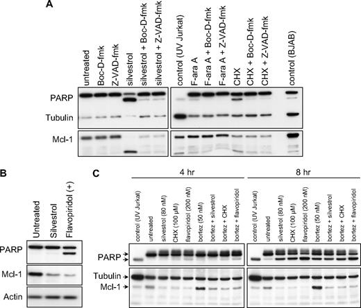 Figure 3. Silvestrol effects on Mcl-1 expression. (A) Silvestrol mediates caspase-independent Mcl-1 reduction: CLL cells treated with 80 nM silvestrol, 100 μM cycloheximide (CHX), or 25 μM F-ara A for 16 hours with or without caspase inhibitors Z-VAD-fmk or Boc-D-fmk (100 μM) were analyzed for Mcl-1 protein expression by immunoblot. Results are shown from 1 of 4 identical experiments. All samples tested to date showed substantial Mcl-1 protein reduction by this time point after silvestrol treatment. (B) Silvestrol-mediated Mcl-1 reduction in 697 acute lymphoblastic leukemia (ALL) cells is distinct from caspase activity: 697 ALL cell line was incubated for 8 hours with or without 80 nM silvestrol or 200 nM flavopiridol, and lysates were examined by immunoblot. (C) Silvestrol-mediated Mcl-1 reduction is independent of proteasome activity: CLL patient cells were treated with 80 nM silvestrol, 100 μM cycloheximide (CHX), or 200 nM flavopiridol for 4 or 8 hours, with or without 50 nM bortezomib. Lysates were analyzed for PARP and Mcl-1 expression by immunoblot.