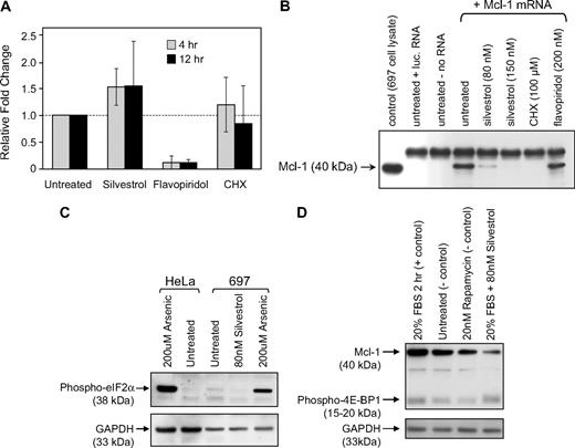 Figure 4. Mechanism of silvestrol-mediated Mcl-1reduction. (A) Effect of silvestrol on Mcl-1 transcription: RNA was extracted from CLL patient cells treated either with 80 nM silvestrol, 200 nM flavopiridol, or 100 μM cycloheximide (CHX) for 4 or 12 hours. n = 6 for untreated and silvestrol treated; n = 3 for flavopiridol and CHX treated. Mcl-1 message level was analyzed by real-time RT-PCR and was normalized relative to 18S RNA. Data are expressed as fold change in Mcl-1 message level over the time-matched untreated sample. Increases in Mcl-1 mRNA with silvestrol treatment were not significant. Bars show plus or minus SD. (B) Translation inhibition by silvestrol: In vitro translation reactions using in vitro–transcribed Mcl-1 mRNA were prepared in the presence or absence of silvestrol, cycloheximide, or flavopiridol as indicated. Reactions were separated by SDS-PAGE and detected using anti–Mcl-1 antibody. Translation assay control reactions contained luciferase mRNA or no mRNA. Lysate from the 697 cell line was included as an Mcl-1 protein control. This figure is from a single immunoblot; a vertical line was inserted to indicate the deletion of an irrelevant lane. (C) Silvestrol does not affect eIF2α phosphorylation: 697 ALL cells were treated with or without silvestrol (80 nM) or arsenic (200 μM) for 2.5 hours and lysates analyzed by immunoblot. HeLa cells were included as control. (D) Silvestrol does not affect 4EBP phosphorylation: 697 ALL cells were serum starved for 3 hours, then were treated with or without silvestrol (80 nM) or rapamycin (20 nM) for 2.5 hours in the presence of 20% fetal bovine serum. Lysates were analyzed by immunoblot.
