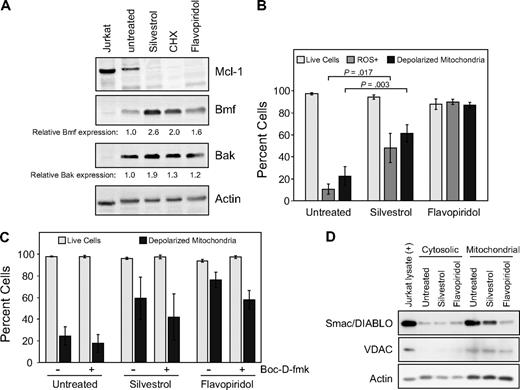 Figure 5. Apoptotic mechanism of silvestrol. (A) Silvestrol causes increase in proapoptotic Bcl-2 family members in CLL cells: CLL patient cells were treated with silvestrol (80 nm), cycloheximide (CHX, 100 μM), or flavopiridol (200 nM) for 16 hours. Cells were analyzed by immunoblot for Bmf, Bak, and other Bcl-2 family members. Blot is representative of 4 CLL patient samples tested. Numbers below the lanes show densitometry data for Bmf and Bak levels in treated samples relative to untreated, normalized to the actin control. (B) Silvestrol induces reactive oxygen species (ROS) generation and mitochondrial depolarization in CLL cells: CLL patient cells (n = 3) were treated with silvestrol (80 nm) or flavopiridol (200 nM) for 16 hours. Cells were analyzed by flow cytometry using dihydroethidium (DHE) to detect ROS, JC-1 to detect mitochondrial depolarization, and propidium iodide (PI) to detect cell death. Percentages of live cells (PI negative) are shown as . Percentages of cells showing ROS generation (DHE positive) are shown as and percentages of cells with depolarized mitochondria (monomeric JC-1) are shown as ■. Bars show plus or minus SD. (C) Silvestrol-induced mitochondrial depolarization: CLL patient cells (n = 4) were treated as in panel A, with or without the caspase inhibitor Boc-D-fmk (100 μM). Cells were analyzed at 16 hours by flow cytometry using PI and JC-1. The percentages of cells with intact mitochondria are shown as , and PI-negative cells are shown as ■. Bars show plus or minus SD. Boc-D-fmk efficacy was confirmed by reversal of annexin-FITC positivity in treated cells (not shown). Although Boc-D-fmk reduced mitochondrial depolarization in silvestrol-treated CLL cells, this effect did not reach statistical significance relative to the untreated sample. (D) Silvestrol causes reduction in mitochondrial Smac/DIABLO: CLL patient cells treated with 80 nM silvestrol or 200 nM flavopiridol for 16 hours were subfractionated and analyzed by immunoblot. Voltage-dependent anion channel (VDAC) was used as a control for mitochondrial fractionation.