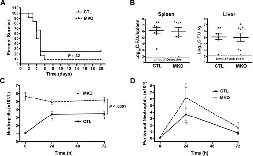 Figure 7. MKO mice have impaired blood neutrophil mobilization but normal neutrophil recruitment to the peritoneum in response to Listeria infection. Control (CTL) or MKO mice were infected intraperitoneally with L monocytogenes. (A) Survival was assessed in mice (n = 12 per group) from 2 separate infections with 9.8 to 11.2 × 105 CFU of bacteria. (B) The bacterial titer in the spleen and liver of control and MKO mice (n = 8 per group) was determined 72 hours after infection with 2.1 to 7.2 × 105 CFU of bacteria. (C) Blood neutrophil counts were assessed by flow cytometry at the indicated times after infection with 2.1 to 9.8 × 105 CFU of bacteria (n = 8-19 mice per group depending on the time). (D) Shown is the number of neutrophils in the peritoneum at the indicated times after infection with 2.1 to 7.2 × 105 CFU of bacteria (n = 5-8 mice per group depending on the time). Data represent the mean ± SEM. †P < .05 compared with time 0.