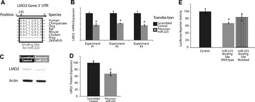 Figure 2. Experimental validation of the interaction of miR-223, which is expressed highly in naive and memory B cells compared with GC B cells, and targets the transcription factor LMO2. (A) Base-pairing of the 3′UTR LMO2 gene with nucleotides 1-8 of miR-223. This 8-mer is highly conserved across several species and serves as a potential binding site for miR-223. (B) Effects of overexpression of miR-223 in GC lymphoma-derived BJAB cells in 3 separate experiments. The dark gray bars depict expression of LMO2 24 hours after transfection with a scrambled control that does not possess complementarity to the human genome. The light gray bars depict the expression of LMO2 24 hours after transfection with a precursor for miR-223. The expression of LMO2 was consistently lower in the cells treated with the miR-223 precursor (P < .05 in all cases). (C) Relative LMO2 protein expression from a representative experiment (from 3 replicates) transfecting a scrambled control versus a precursor for miR-223 in BJAB cells. (D) Average expression of LMO2 relative to actin over 3 Western blots of BJAB transfected with a scrambled control versus a precursor for miR-223. LMO2 expression is lower in cells treated with miR-223 (P < .05). (E) Luciferase-expressing vectors were coupled to the 3′UTR of the LMO2 gene. The seed sequence mutant construct had consistently diminished miR-223 repression compared with the wild-type construct in 5 separate experiments (P < .05).