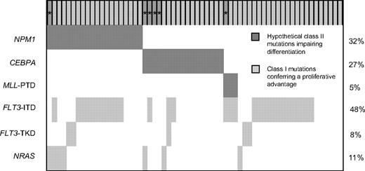 Figure 2. Frequencies and distribution of the WT1, NPM1, CEBPA, MLL, FLT3, and NRAS mutations. For WT1 mutations, each patient is represented by a gray column. Dark gray columns marked with * represent homozygous mutations. ITD denotes internal tandem duplication; PTD, partial tandem duplication; and TKD, mutation of the tyrosine kinase domain.