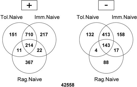 Figure 2. Differential expression of probe sets during deletional tolerance, immunity, and lymphopenia-induced proliferation. The Venn diagram depicts the differentially expressed probe sets detected on the array using the statistical analysis described in “Microarray data analysis” in “Methods.” The expression changes are split into probe sets up-regulated (+, left) and down-regulated (−, right) within each comparison. Tol.Naive represents probe sets differentially expressed within OT-I cells isolated from RIP-OVAhi mice relative to the undivided cells recovered from unchallenged (naive) C57BL/6 mice. Imm.Naive and Rag.Naive show the same comparison for cells recovered from OCS/LPS and Rag−/− mice, respectively.