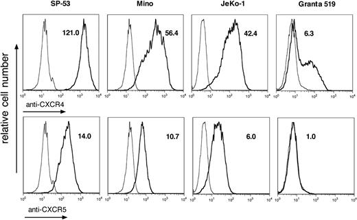 Figure 1. MCL cell lines demonstrate a high level of CXCR4 and CXCR5 expression. Overlay histogram plots depict the relative CXCR4 and CXCR5 fluorescence intensity (bold line) of CD19+ MCL cells in comparison with isotype control stain (thin line). The MFIRs are displayed next to each histogram. The MCL lines SP-53, MINO, and JeKo-1 demonstrate high levels of CXCR4 and CXCR5 expression, whereas in the EBV+ cell line Granta 519 expression of these chemokine receptors is low.