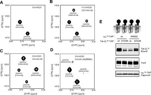 Figure 2. In vitro αIIb-β3 TM heterodimerization. (A-C) Spectral region of TROSY-HSQC spectra showing Gly702 and Gly708 of the 2H/13C/15N-labeled β3 TM segment in the absence and presence of unlabeled αIIb TM peptide. One set of signals corresponds to the monomeric signals (A). The signal intensity ratios of monomeric-to-heterodimeric signals, but not their positions, depend on the αIIb and β3 peptide concentrations, demonstrating slow exchange kinetics on the NMR timescale between the 2 species. As evidenced by the disappearance of the monomer signals at higher peptide-to-bicelle ratios (C), heterodimerization is predominant. (D) In the presence of mutant αIIb(R995A) peptide, heterodimerization is weakened. The signal intensity ratio of heterodimer-to-monomer signals drops from 1.56 to 0.14 (C,D), and the heterodimeric signals are shifted compared with the interaction with wild-type αIIb peptide. (E) The effects of charge reversal mutations in the membrane-proximal regions of αIIb or β3 on the TMD interaction were analyzed, as in Figure 1.