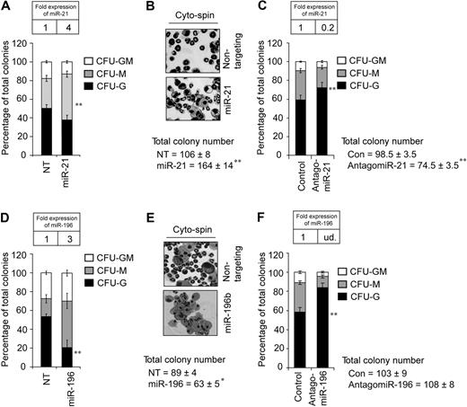 Figure 4. miR-21 or miR-196b is a partial phenocopy of Gfi1−/−. (A) Methylcellulose colony assay from Lin− bone marrow cells transduced with MSCV encoding miR-21 or a nontargeting shRNA control (NT) reveals significantly increased CFU-Ms. (B) Cytospins from the colony assay in panel A. (C) Colony assay from Lin− bone marrow cells treated with control antagomiR or antagomiR-21 reveals significantly decreased CFU-Ms. (D) Methylcellulose colony assay from Lin− bone marrow cells transduced with MSCV encoding miR-196b or a nontargeting control (NT) reveals significantly decreased CFU-Gs. (E) Cytospins from the colony assay in panel D. (F) Colony assay from Lin− bone marrow cells treated with control antagomiR or antagomiR-196b reveals significantly increased CFU-Gs. Results are displayed as percentage of CFU-Gs, CFU-Ms, and CFU-GMs (n = 3, mean ± SD). TaqMan results are represented as means ± SD from at least 3 independent experiments. *P < .05; **P < .01.