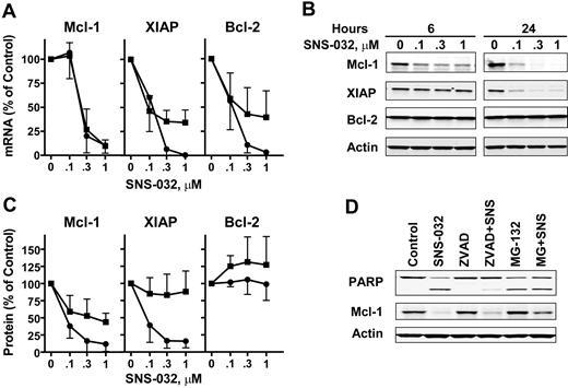 Figure 4. SNS-032 reduced the expression of antiapoptotic proteins. The total RNA and protein of CLL cells from the same set of 6 patients in Figure 1A were isolated after 6 hours (■) and 24 hours (●) of incubation with 0.1, 0.3, and 1 μM SNS-032. (A) The mRNA levels of Mcl-1, XIAP, and Bcl-2 were measured by real-time reverse-transcribed polymerase chain reaction, each performed in duplicate, and compared with time-matched controls. (B) A representative immunoblot from patient 4. (C) Quantitations of immunoblots of Mcl-1, XIAP, and Bcl-2 from the samples used in panel A. Levels of Mcl-1, XIAP, and Bcl-2 were normalized to actin and expressed as percentage of time-matched controls. (D) SNS-032–induced Mcl-1 reduction is independent of caspase activity. CLL cells were preincubated with pan-caspase inhibitor ZVAD-FMK (100 μM) or proteosome inhibitor MG-132 (10 μM) for 1 hour before incubating with 0.3 μM SNS-032 for 8 hours. PARP cleavage and Mcl-1 protein levels were visualized by immunoblotting.