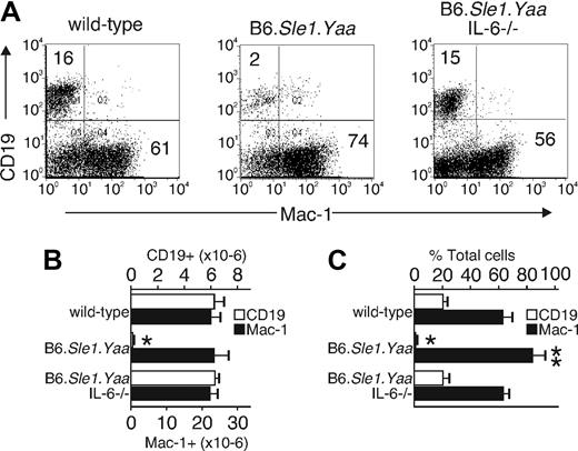 Figure 2. Elevated IL-6 levels inhibit B lymphopoiesis and increase myelopoiesis in B6.Sle1.Yaa mice. Bone marrow cells from wild-type, B6.Sle1.Yaa, and B6.Sle1.Yaa.IL-6−/− mice were analyzed by flow cytometry. (A) B lymphocytes and myeloid cells from the bone marrow of each animal strain were detected with anti-CD19 and anti–Mac-1 antibodies. The results are representative of 5 separate animals. The percentage of cells in the quadrants is indicated. Numbers in the top left corner show the percentage of CD19+ cells in total bone marrow cells; numbers in the bottom right show Mac-1+ cells in total bone marrow cells. (B,C) The cell numbers and percentages of CD19+ B lymphocytes and Mac-1+ myeloid cells in each animal strain are shown. The data were obtained from 5 mice per group and are shown as an average (mean ± SD). Cell numbers are shown as the number from one femur and one tibia. *P < .001, **P < .05 compared with the wild-type, B6.Sle1.Yaa.IL-6−/− mice.