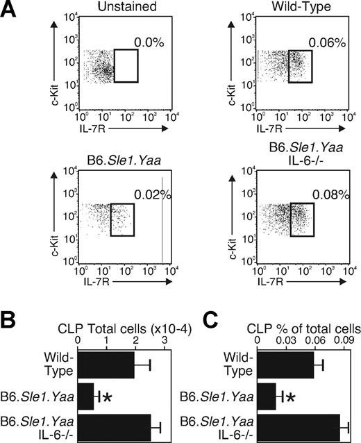 Figure 3. Progenitors that arise before CLPs are the IL-6 targets. Bone marrow cells from wild-type, B6.Sle1.Yaa, and B6.Sle1.Yaa.IL-6−/− mice were selected as Lin− (NK1.1, CD3, CD8, CD19, B220, Mac-1, Gr1, TER-119), c-Kitlo, and Flt3+. The selected population was divided according to surface expression of IL-7Rα. IL-7Rα+ cells were considered as CLPs. (A) CLPs from the bone marrow of each strain are shown; unstained shows the cells not stained with anti–IL-7Rα. The results are representative 5 separate animals. The percentage of total cells meeting CLP criteria is indicated. The squares show IL-7+ CLP cells; the numbers next to them show the percentage of CLPs in total bone marrow. (B,C) Cell numbers and percentages of CLPs in each strain are shown. The data were obtained from 5 mice and are shown as and average (mean ± SD). Cell numbers are shown as number from one femur and one tibia. *P < .001 compared with the wild-type and B6.Sle1.Yaa.IL-6−/− mice.