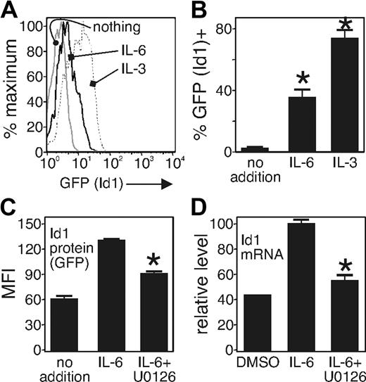 Figure 5. IL-6 induces MAP kinase–dependent Id1 expression in primitive progenitors. Sorted LSK fraction from Id1GFP/GFP mice was cultured in serum-free, stromal cell–free conditions as described19,38 and with added carrier (media) or IL-6 or IL-3 as indicated. Id1 expression was analyzed by GFP expression level using flow cytometry. (A) Id1 expression is shown 24 hours after treatment with or without IL-6 (10 ng/mL) or IL-3 (10 ng/mL). The results are representative of 3 separate experiments. (B) The relative ratio of GFP+ to GFP− cells is shown. *P < .005 compared with the control. (C) Sorted cells were placed in serum-free stroma cell–free system with IL-6 10 ng/mL and treated with carrier (DMSO) or MAPK inhibitor (U0126) 10 μM. Id1 expression was determined by flow cytometry after 24 hours of culture. The data were obtained from 3 different experiments and are shown as an average (mean ± SD). *P < .005 compared with the control. (D) The relative expression of Id1 mRNA is shown. The purified LSK cells were cultured in serum-free, stroma-cell free system with IL-6 (10 ng/mL) and treated with control (DMSO) or MAPK inhibitor (U0126) 10 μM, as in panel C. The total RNA was extracted from each sample after 12 hours of incubation, and real-time PCR was conducted. Id1 expression was normalized by 18S rRNA expression.