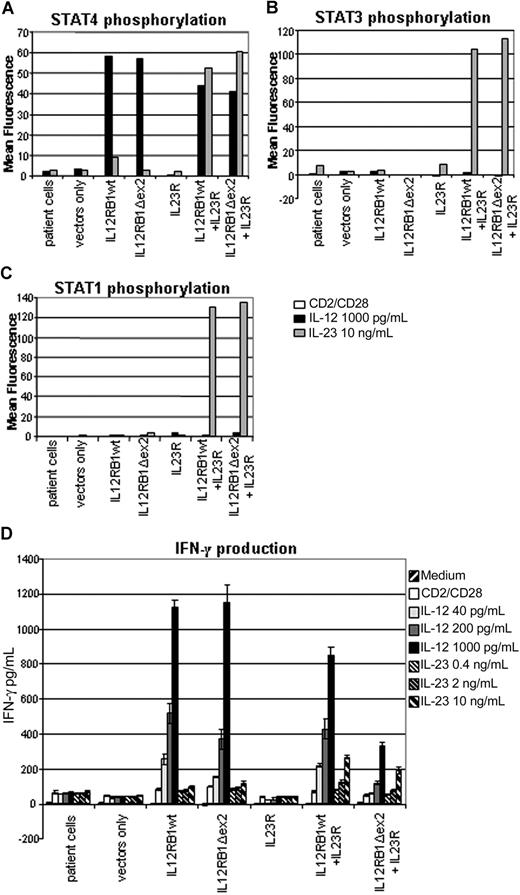 Figure 2. IL-12Rβ1 lacking exon 2 is a functional protein. Response to IL-12 or IL-23 stimulation of IL-12Rβ1 constructs of activated T cells from an IL-12Rβ1−/− patient. Because IL-23R expression is normally low in PHA-activated T cells, an IL23R construct was transfected as well to allow detection of IL-23 responses. Cells were prestimulated for 18 hours with anti-CD2/CD28. (A) STAT4 phosphorylation 60 minutes after stimulation. (B) STAT3 phosphorylation 15 minutes after stimulation. (C) STAT1 phosphorylation 15 minutes after stimulation. (D) IFN-γ production measured after 72 hours of stimulation of 105 cells with various concentrations of IL-12 and IL-23 in the presence of anti-CD2/CD28.
