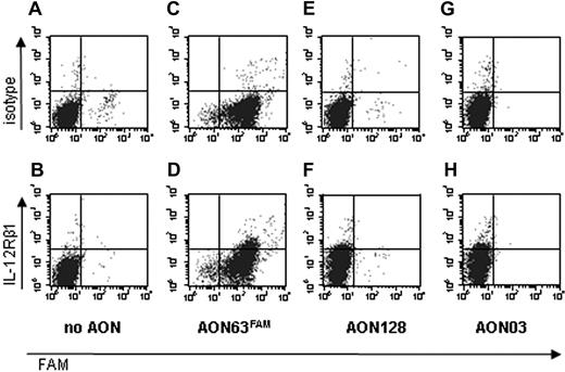 Figure 5. Nucleofection of AONs results in correction of IL-12Rβ1 expression. Activated T cells from an IL-12Rβ1−/− patient were nucleofected (A,B) without AON, with (C,D) AON63FAM, (E,F) AON128, or (G,H) AON03. At 24 hours after nucleofection, the cells were labeled with an isotype control (A,C,E,G) or with the antihuman IL-12Rβ1 antibody 2B10 (B,D,F,H) and analyzed by FACS.