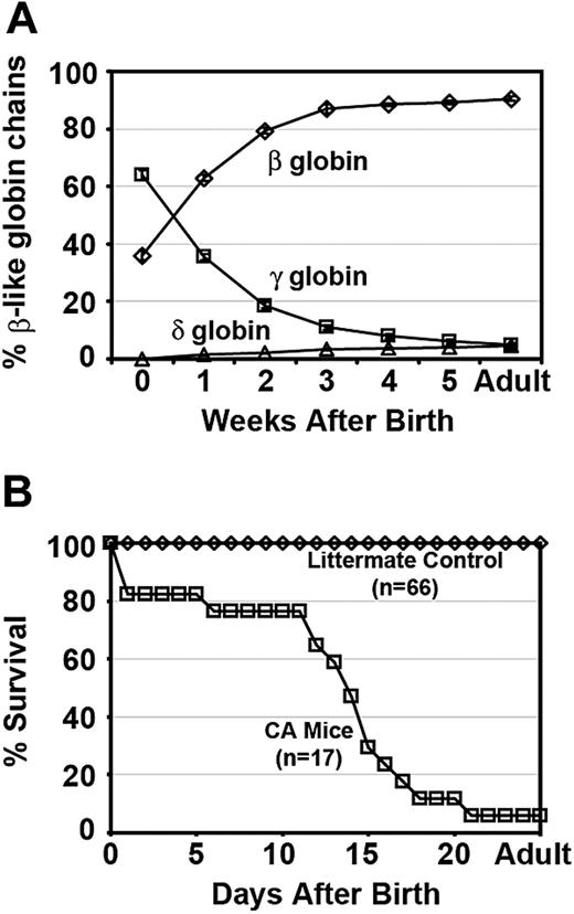 Figure 2. Hb switching and survival curves of humanized γHPFH δβ0 CA mice. (A) Humanized compound heterozygous γHPFHδβ0/γβA mice complete the switch from high levels of fetal γ globin to adult δ and β globins after birth. Weekly hemolysates from peripheral blood were analyzed by HPLC to quantify the β-like globin chains. The fractional percentage of γ (□), β (◇), and δ (▵) globin chains relative to total β-like chains is plotted over time. Values represent mean ± SEM, n = 8. (B) Survival curves of humanized homozygous γHPFHδβ0 CA (□) and littermate control (◇) mice. The majority of fully humanized γHPFHδβ0 CA mice expire within 3 weeks of age as the human γ globin switches to the human δ and nonfunctional human β0 globin genes. Moribund homozygous CA mice were humanely euthanized before death, and their genotype was confirmed by PCR of tail tip DNA. All humanized littermate control mice (γHPFHδβ0/γβA and γβA/γβA) survived beyond 5 weeks of age.