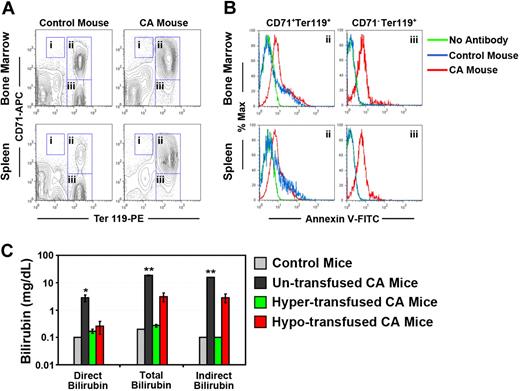 Figure 3. Erythroid hyperplasia, ineffective erythropoiesis, and hemolysis in humanized γHPFHδβ0 CA mice. (A) Erythroid hyperplasia in the bone marrow and spleen of CA mice was measured by flow cytometry. Bone marrow and spleen cells from age- and sex-matched CA and wild-type mice were stained with fluorescently labeled antibodies to the erythroid antigen Ter119 and transferrin receptor CD71 and fluorescent-labeled annexin V. Dead cells were excluded by 7-aminoactinomycin D (7AAD) staining. The percentages of proerythroblasts (region I: CD71HIGH, Ter119LOW), early erythroblasts (region II: CD71+, Ter119+), late erythroblasts (region III: CD71−, Ter119+), and total Ter119+ erythroid cells (total Ter119+) in the bone marrow and spleen are shown in Table 2. Erythroid populations of humanized HbA mice (α2α1/α2α1 γβA/γβA) and C57BL/6J wild-type mice did not differ significantly (data not shown). (B) Demonstration of ineffective erythropoiesis in CA mice by apoptosis of erythroid progenitors by annexin V–binding assay.32 Representative histograms are shown of annexin V staining of early (region II) and late (region III) erythroblasts in CA and control mouse bone marrow and spleen cells from panel A. No antibody control samples were stained with all the antibodies in panel A, except annexin V. Annexin V+ cell ratios are quantified in Table 3. Annexin V+ erythroid populations of humanized HbA mice (α2α1/α2α1 γβA/γβA) and C57BL/6J wild-type mice did not differ significantly (data not shown). (C) Bilirubin levels increased significantly in untransfused CA mice compared with age- and sex-matched wild-type control mice, indicating increased hemolysis in CA mice. Bilirubin levels returned to control levels in hypertransfused, but not hypotransfused CA mice. *P < .05; **P < .0001; n = 3 in each group.