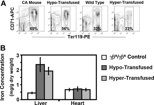 Figure 6. Erythropoietic activity and storage iron levels in hypertransfused and hypotransfused CA mice. (A) Erythroid progenitors in the bone marrow of untransfused CA mice, wild-type controls, and transfused CA mice were determined by flow cytometry analysis of Ter119 and CD71 stained bone marrow cells. Dead cells and transfused GFP+ RBCs were excluded from analysis by using the 7AAD− and GFP− populations, respectively. Percentages of Ter119+ erythroid cells are shown. Untransfused and hypotransfused CA mice had increased erythropoietic activity compared with control, whereas hypertransfused CA mice had reduced erythropoietic activity. All mice were 8 weeks of age, except the untransfused CA mice, which were only 2 weeks old. (B) Storage iron concentrations in livers and hearts were quantified in male and female CA mice after 8 weeks of transfusion. Compared with littermate control γβA/γβA mice, the storage iron in the livers of both hyper- and hypotransfused CA mice increased significantly (P ≤ .0001). There was no significant increase in the hearts of either transfused group. P values were calculated by 2-tailed unpaired Student t test, n ≥ 5 in each group.