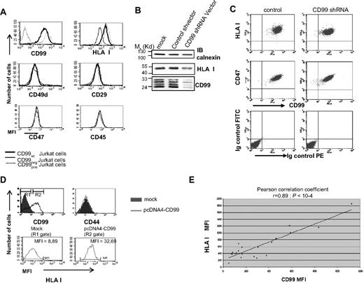 Figure 1. Quantitative expression of CD99 and HLA class I molecules is closely related. (A) CD99 and HLA class I surface expression was measured by flow cytometry for wild-type Jurkat T cells, CD99neg and CD99pos cells. CD49d (alpha 4 integrin), CD29 (beta 1 integrin), CD47, and CD45 were measured as controls using “BU49,” “K20,” “B6H12,” and “MEM-28” mAbs, respectively. (B) Effects of a CD99 shRNA on HLA class I expression measured by Western blot analysis with the anti–HLA class I “W6/32” mAb; CD99 expression was measured using the “12E7” mAb. (C) Flow cytometric analysis was performed with a PE-CD99 “3B2/TA8” mAb and with an FITC-HLA class I “W6/32” mAb; analysis was performed 72 hours after transfection with CD99-shRNA or control vector. Results are reported as dot-plot profiles and are representative of at least 3 independent experiments. For controls we included staining with an Ig control isotype and FITC-CD47 (B6H12). (D) Surface expression of HLA class I on BLA2 cells, a lung adenocarcinoma cell line, forced to express CD99. Two gates (R1 and R2) were defined on CD99 histograms (top left panel) and HLA class I expression was measured on cells from each gate (bottom panel). CD44 expression was used as control. Results are representative of at least 3 independent experiments. (E) Correlation between CD99 and HLA class I molecules at the surface of Jurkat CD99neg cells stably transfected with various amounts of CD99 cDNA. Cells were costained with the FITC-CD99 “3B2/TA8” mAb and a PE-HLA class I “W6/32” mAb (Pearson correlation coefficient r = 0.89; P < 10−4).