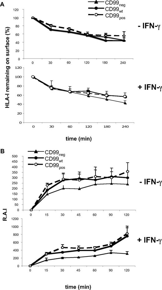 Figure 3. CD99 regulates HLA class I externalization. (A) Internalization kinetics of surface-bound anti–HLA class I mAb on untreated (−) or 72-hour IFN-γ–treated (+) CD99neg, CD99pos, and CD99wt Jurkat T cells, as described in “Methods.” Results are expressed as a percentage of remaining HLA class I molecules at the cell surface. All values are means plus or minus SD of 3 independent experiments. (B) Kinetics of cell-surface expression of HLA class I molecules of untreated (−) or 72-hour IFN-γ–treated (+) CD99neg, CD99pos, and CD99wt Jurkat T cells. Surface levels of HLA class I molecules labeled with an FITC-conjugated “W6/32” mAb were analyzed by flow cytometry and reported as relative Ag intensity (RAI), as described in “Kinetics of HLA I expression by flow cytometry.” All values are means plus or minus SD of 3 independent experiments.