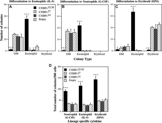 Figure 4. Effects of the C/EBP-ϵ isoforms on eosinophil, erythroid, and neutrophil differentiation. CD34+ CB progenitors were transduced with retroviral vectors encoding each of the C/EBP-ϵ isoforms. After 72 hours of transduction, CD34+GFP+ cells were sorted by FACS, plated in Collagen Cult colony assays, and the cells induced to differentiate toward the eosinophil (A: culture in SCF, IL-3, and IL-5), neutrophil (B: culture in SCF, IL-3, and G-CSF), and erythroid (C: culture in SCF, IL-3, and EPO) lineages. The mean (± SD) number of GM, eosinophil, and erythroid colonies that developed from 750 plated CD34+GFP+ transduced progenitors is plotted for 3 independent experiments performed in duplicate or triplicate. The effect of the C/EBP-ϵ isoforms on plating efficiency is shown in panel D as the total number of hematopoietic colonies (myeloid + erythroid) developed from 500 plated CD34+GFP+ progenitors for each of the cytokine cocktails used to induce neutrophil (G-CSF), eosinophil (IL-5), and erythroid (EPO) colony formation. Statistically significant differences are shown for comparisons using 1-way ANOVA and LSD (*P ≤ .05, ***P ≤ .001).