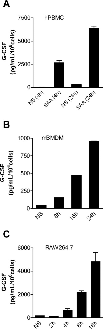 Figure 1. SAA induces G-CSF secretion in monocytes and macrophages. Freshly prepared human PBMCs (A), mouse BMDMs (B), and mouse RAW264.7 cells (C) were stimulated with SAA (1 μM) or buffer (NS), and the secreted G-CSF was determined with ELISA at the indicated time points. Data shown are mean plus or minus SEM from 3 experiments.