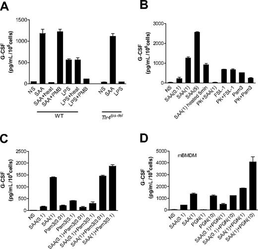 Figure 2. Endotoxin contamination does not contribute to SAA-induced G-CSF secretion. Mouse BMDMs were stimulated with different reagents for 24 hours, and secretion of G-CSF was measured using ELISA. (A) Both C57BL/6 (WT) and Tlr4lps-del BMDMs were used and incubated with LPS (1 μg/mL), SAA (1 μM), heat-treated LPS and SAA (100°C for 25 minutes), or polymyxin B (50 μg/mL, 1 hour)–treated SAA and LPS. (B) Mouse BMDMs were stimulated with the lipopeptides FSL-1 (1 μg/mL), Pam3CSK4 (1 μg/mL), or SAA (0.1, 1, and 5 μM, as indicated in parentheses), or with the same ligands treated with proteinase K (PK, 50 μg/mL) for 1 hour at 37°C and then heated at 100°C for 5 minutes for inactivating proteinase K. Short exposure of SAA to heat (100°C for 5 minutes), which caused only a small decrease on SAA activity, was used as a control. (C, D) Different concentrations of SAA (0.1 and 1 μM), Pam3CSK4 (0.01 and 0.1 μg/mL), PGN (1 and 10 μg/mL), and their mixtures were added to the cells. All data shown are mean plus or minus SEM from 3 experiments.