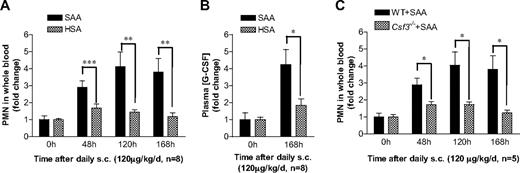 Figure 4. SAA-induced G-CSF production correlates with neutrophilia in mice. (A) SAA or HSA was injected subcutaneously into C57BL/6 mice (n = 8) at a dose of 120 μg/kg per day in 0.2 mL phosphate-buffered saline at 24-hour intervals. Blood samples were collected before (0 hours) and at 48, 120, and 168 hours after the initial SAA injection. Neutrophil numbers in whole blood were determined and presented as fold changes. (B) The plasma concentration of G-CSF in SAA-injected mice was determined using ELISA at 0 hours and 168 hours after the initial administration as in panel A, and shown as fold changes (maximum, 97 pg/mL). (C) SAA was injected subcutaneously into age- and sex-matched WT and Csf3−/− mice (n = 5), and peripheral blood neutrophil count was determined at the indicated time points as described in panel A. Statistical analysis was performed to compare neutrophil counts in Csf3−/− mice with those in WT mice and marked whenever there is a statistically significant difference. *P < .05, **P < .005, ***P < .001, compared with control mice (A,B) or WT mice (C). In all panels, there is a significant difference between treatment and pretreatment samples at each time point (P < .05).