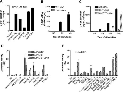 Figure 6. TLR2 is necessary for SAA-induced G-CSF expression. (A) Inhibition of SAA-induced G-CSF secretion in mouse BMDM by an anti-TLR2 mouse antibody but not an anti-TLR4 rat antibody (5 μg/mL each). Antibody treatment was for 1 hour. Isotype-matching IgG controls for the mouse and rat antibodies were included. The secreted G-CSF (591 pg/mL/106 cells) by SAA without antibody pretreatment was set as 100%. (B) The G-CSF mRNA level was determined by real-time PCR using RNA prepared from SAA (1 μM)-stimulated or unstimulated (NS) BMDM from WT C57BL/6 and Tlr2−/− mice. The relative concentrations of the G-CSF transcript are presented as fold changes over unstimulated sample (mean plus or minus SEM from 4 experiments, each in duplicate). (C) BMDMs from WT C57BL/6, Tlr2−/−, and Tlr4 lps-del mice were stimulated with 1 μM SAA, and the secreted G-CSF was determined at the indicated time points using ELISA. Data are presented as mean plus or minus SEM of 3 experiments, each performed in duplicate. (D,E) The TLR2-overexpressed HeLa cells (HeLa/TLR2) or mock-transfected HeLa cells (HeLa/vector) were transiently transfected with G-CSF luciferase reporter cDNA and then stimulated with different reagents for 5 hours. The luciferase activity was measured as described in “Luciferase report assay.” Data are mean plus or minus SEM of 2 to 4 experiments, each performed in triplicate. In panel D, cells were stimulated with SAA (0.1 μM), Pam3CSK4 (1 μg/mL), PGN (1 μg/mL), LTA (10 μg/mL), zymosan (10 μg/mL), and LPS (1 μg/mL). Heat-treated (100°C, 25 minutes) and proteinase K- (50 μg/mL, 1 hour) treated SAA were also used in the study. In panel E, cells were stimulated with different concentrations of SAA (0.02 and 0.1 μM), Pam3CSK4 (0.1 and 1 μg/mL), and PGN (0.2 and 1 μg/mL), either alone or in combination.